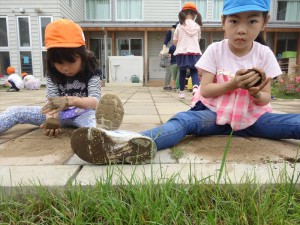 g長ピカピカだんご　磨き (10)